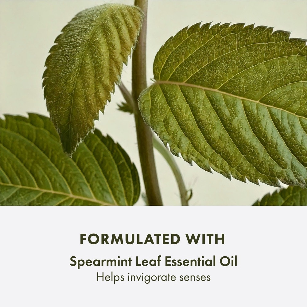 Checks and Balances™ Frothy Face Wash, 50ml