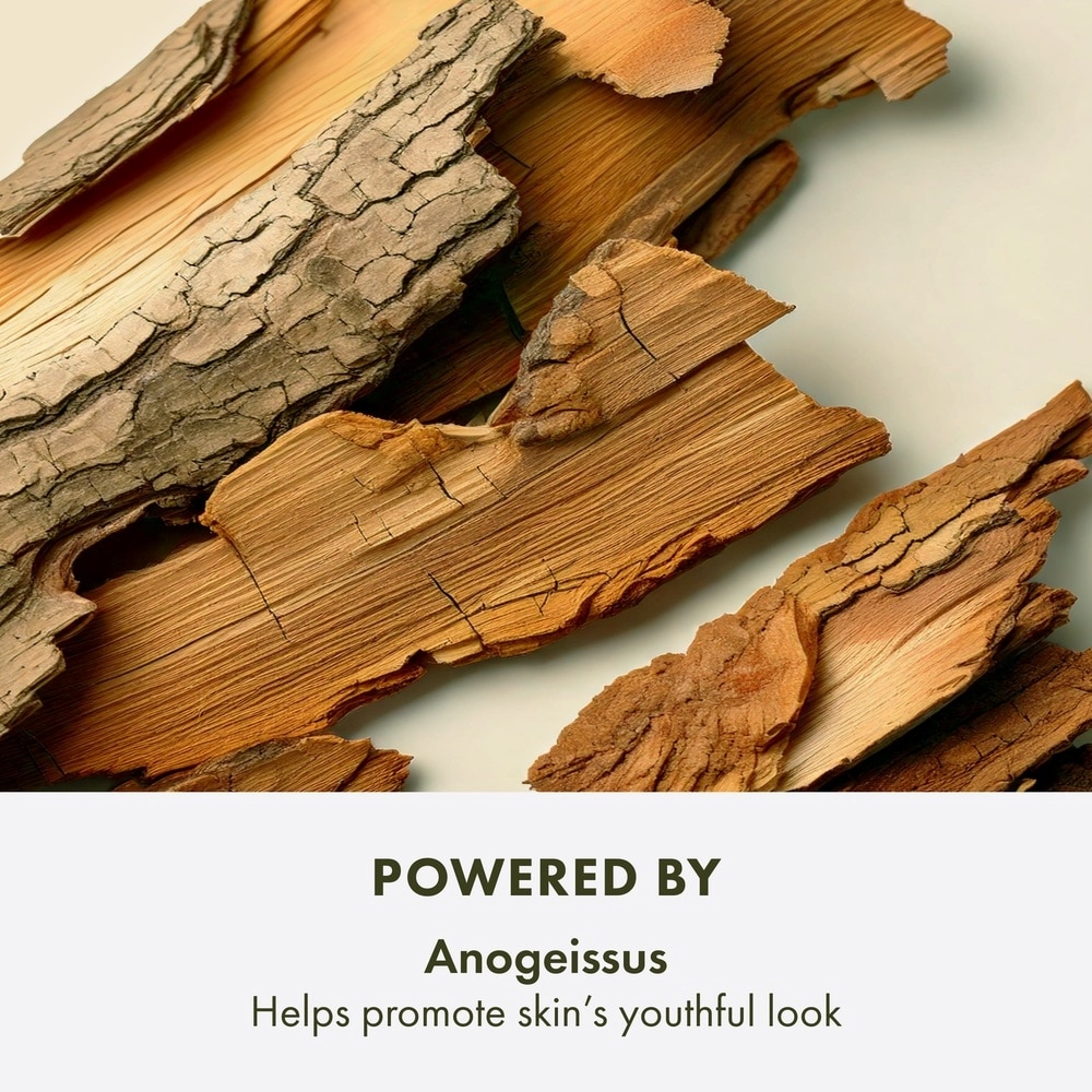 Plantscription™ Youth-Renewing Power Night Cream, 50ml