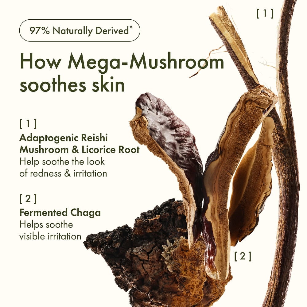 Origins™ Holiday Mega Mushroom Set